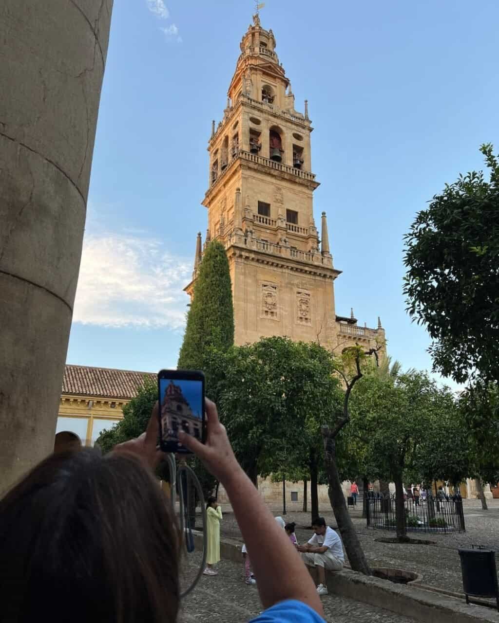 orange trees in the courtyard of the mezquita in cordoba