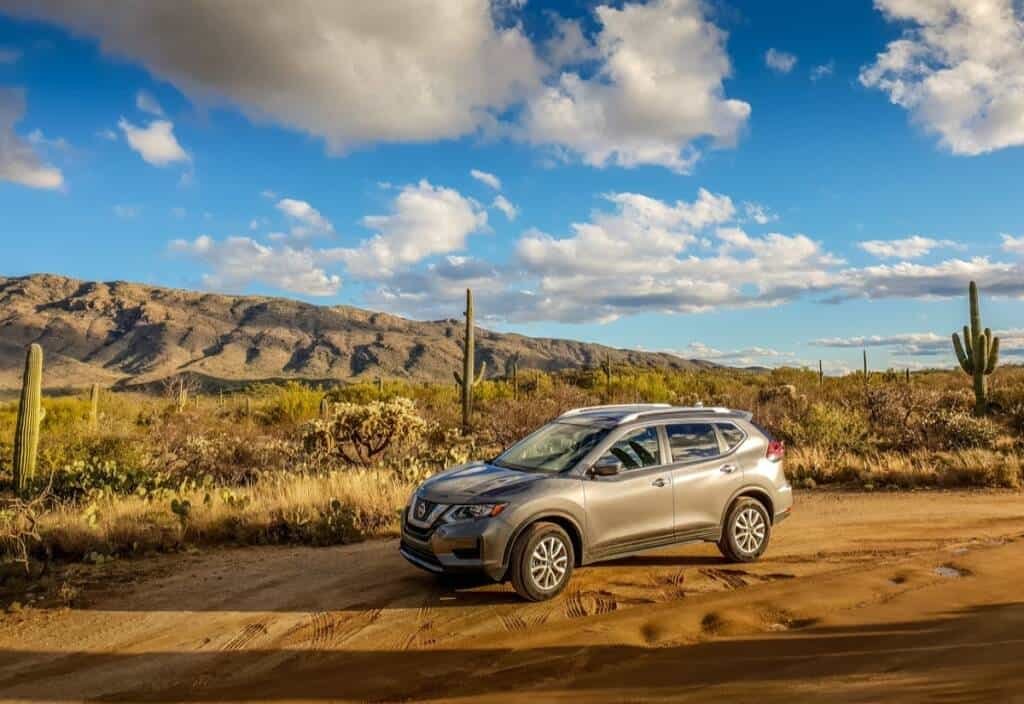 Getting up close and personal with a giant Saguaro Cactus is a truly amazing experience. If you are road tripping the Southwest USA then be sure to include Saguaro National Park
